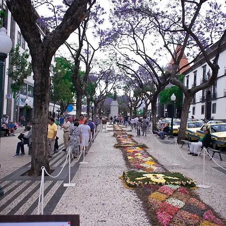 Apartment Rua Das Hortas *